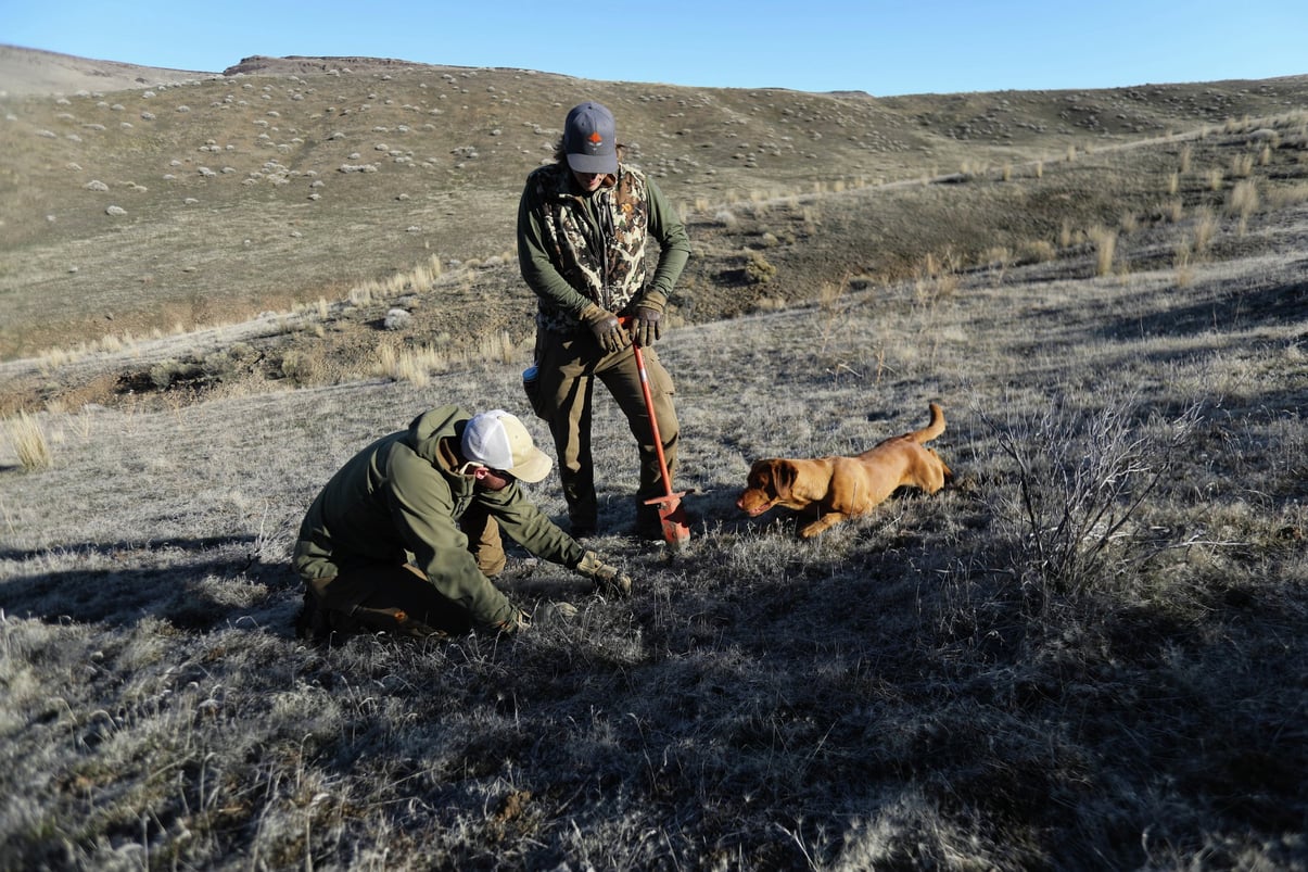 Getting the Boots Dirty: Enacting Conservation on the Ground